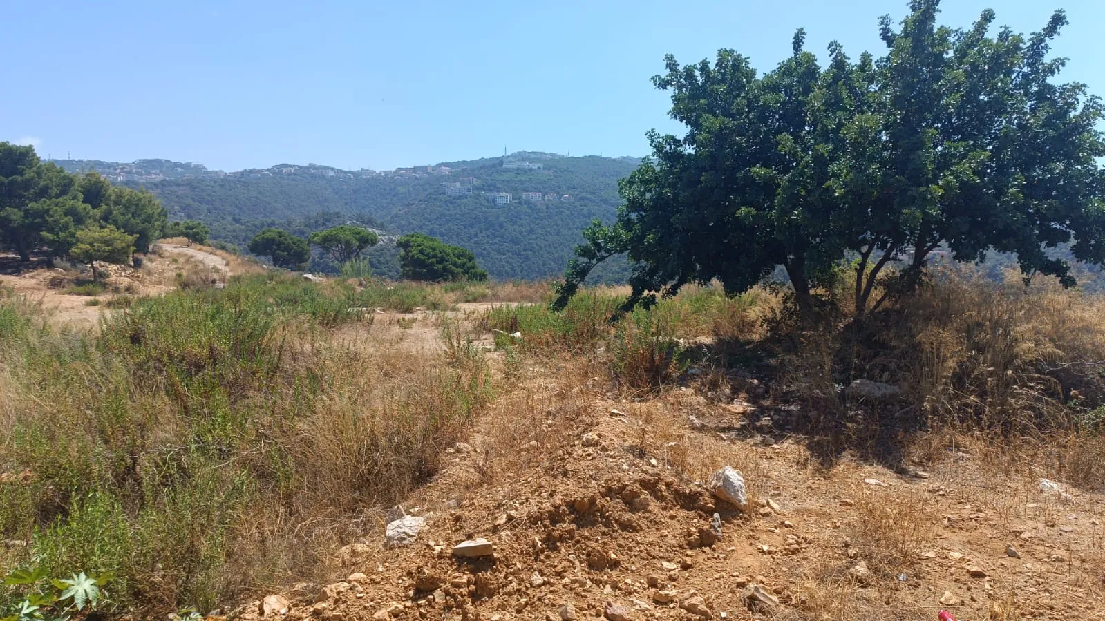For Sale: Land in Biaqout — photo 3