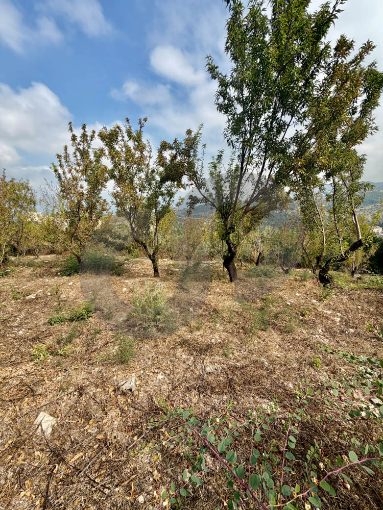 SEA AND MOUNTAIN VIEW / PRIME LOCATION / FATQA-KESEROUAN — الصورة 3