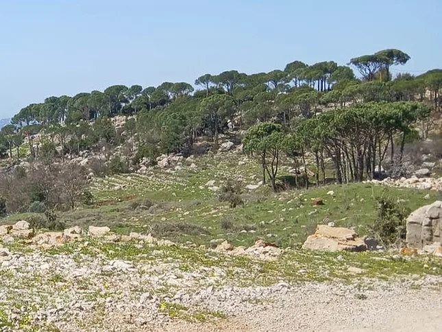Land for Sale in Mtein — الصورة 4