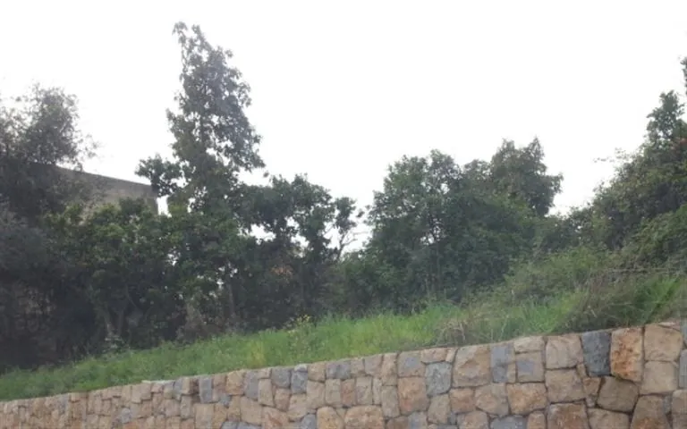 Commercial Land With Old House For Rent in Naccache (Suitable For a Restaurant) — الصورة 2