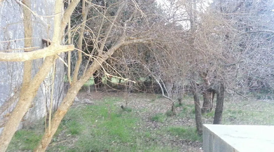 Private House For Sale In Bechmezzine Al Koura Surrounded By A Nice Land — الصورة 3