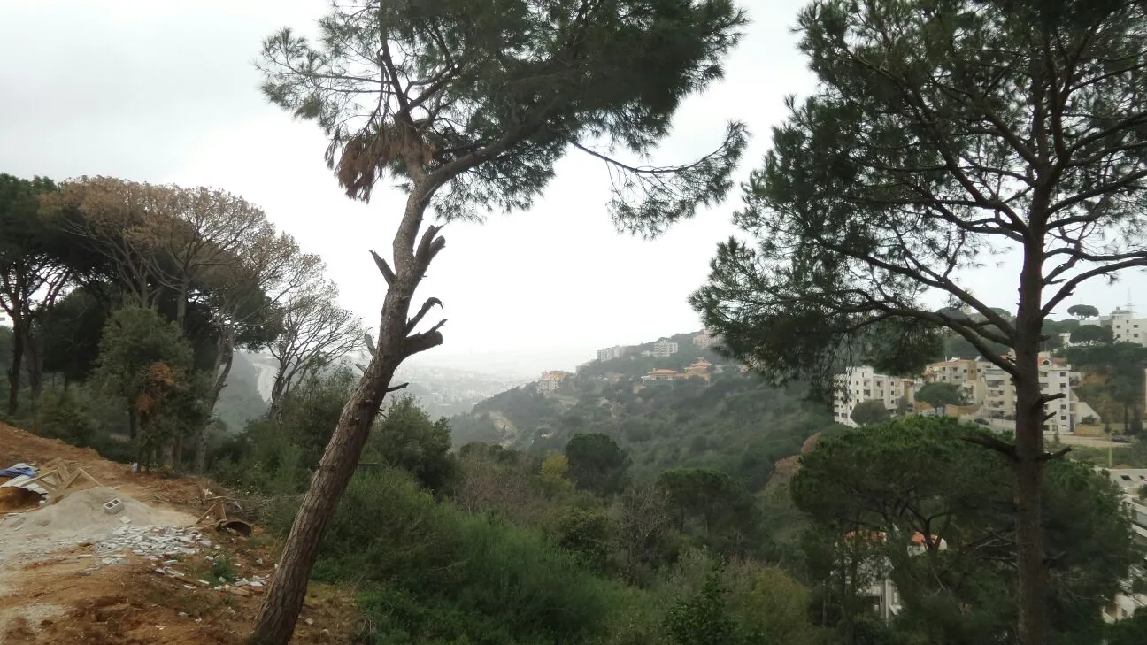 Nice Duplex For Sale In a Calm Area Of Bsalim With Panoramic View — الصورة 3