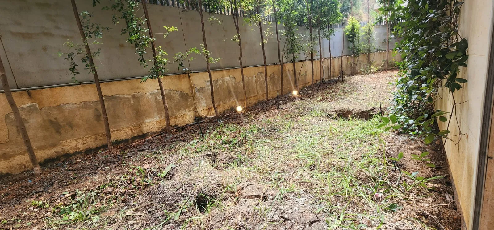 Luxurious Modern Apartment for Sale with Back yard garden in Yarze — photo 3