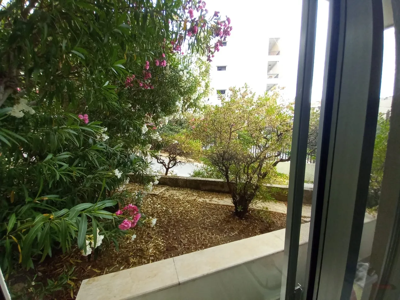 Deluxe Apartment for Rent in Sahel Alma with an Amazing View — الصورة 3