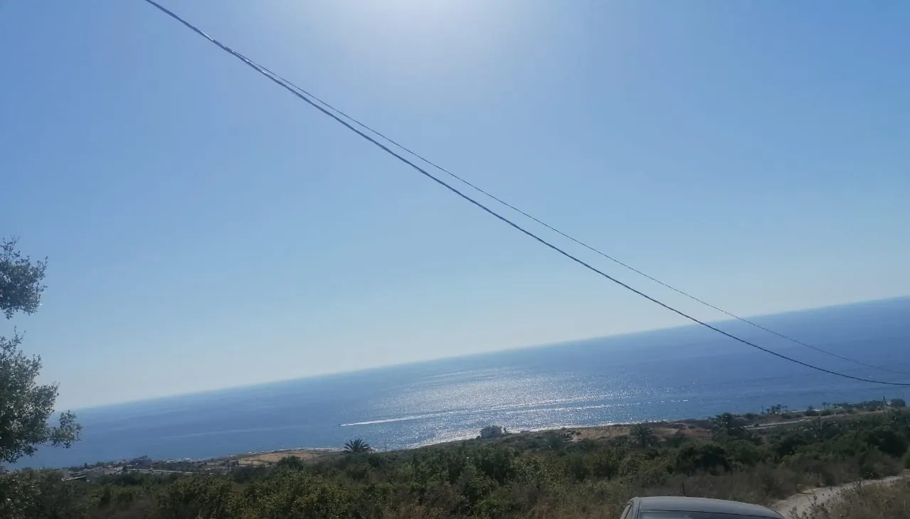 Spacious Land for Sale in Barbara
