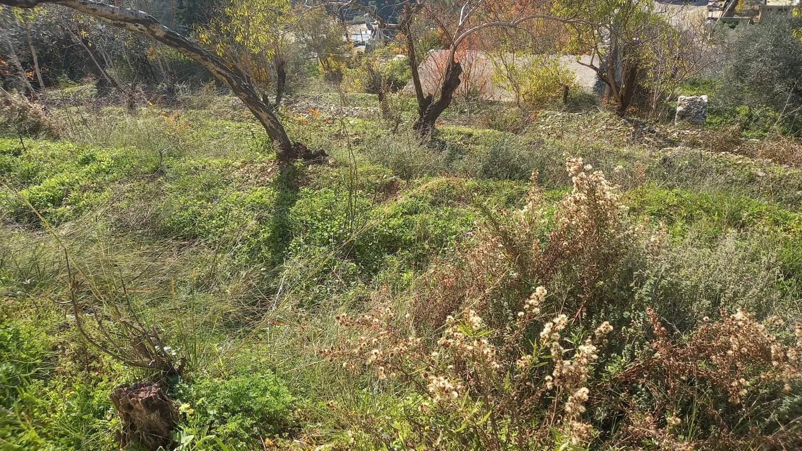A Residential Land for Sale in Nammoura with a Panoramic Mountain View — الصورة 2