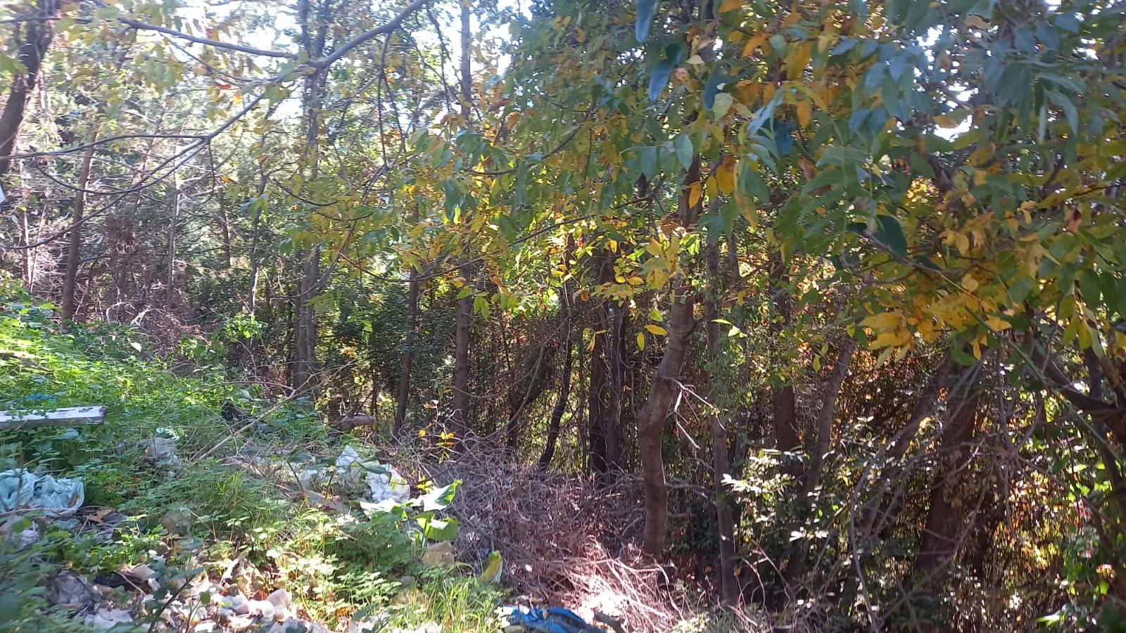 A Residential Land for Sale in Nammoura with a Panoramic Mountain View — الصورة 3