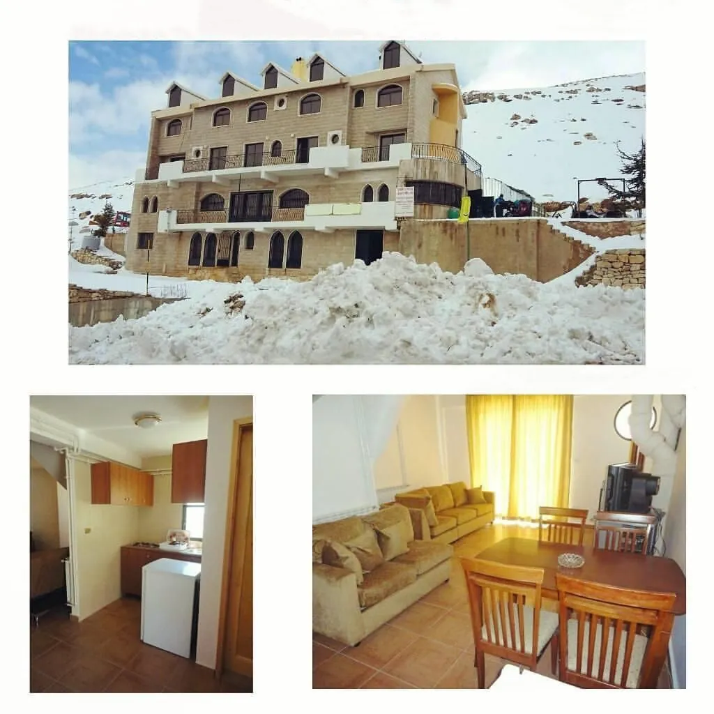 Fully Furnished Building with 9 Chalets for Sale in Ouyoun Al Simen — الصورة 2