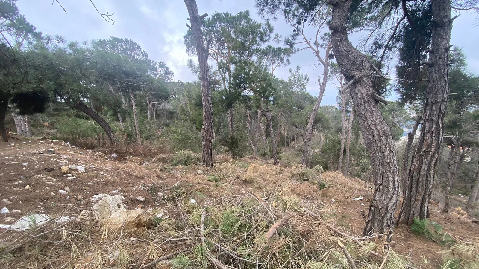 2,800 SQM Land for Sale with an Exceptional View in El Naas