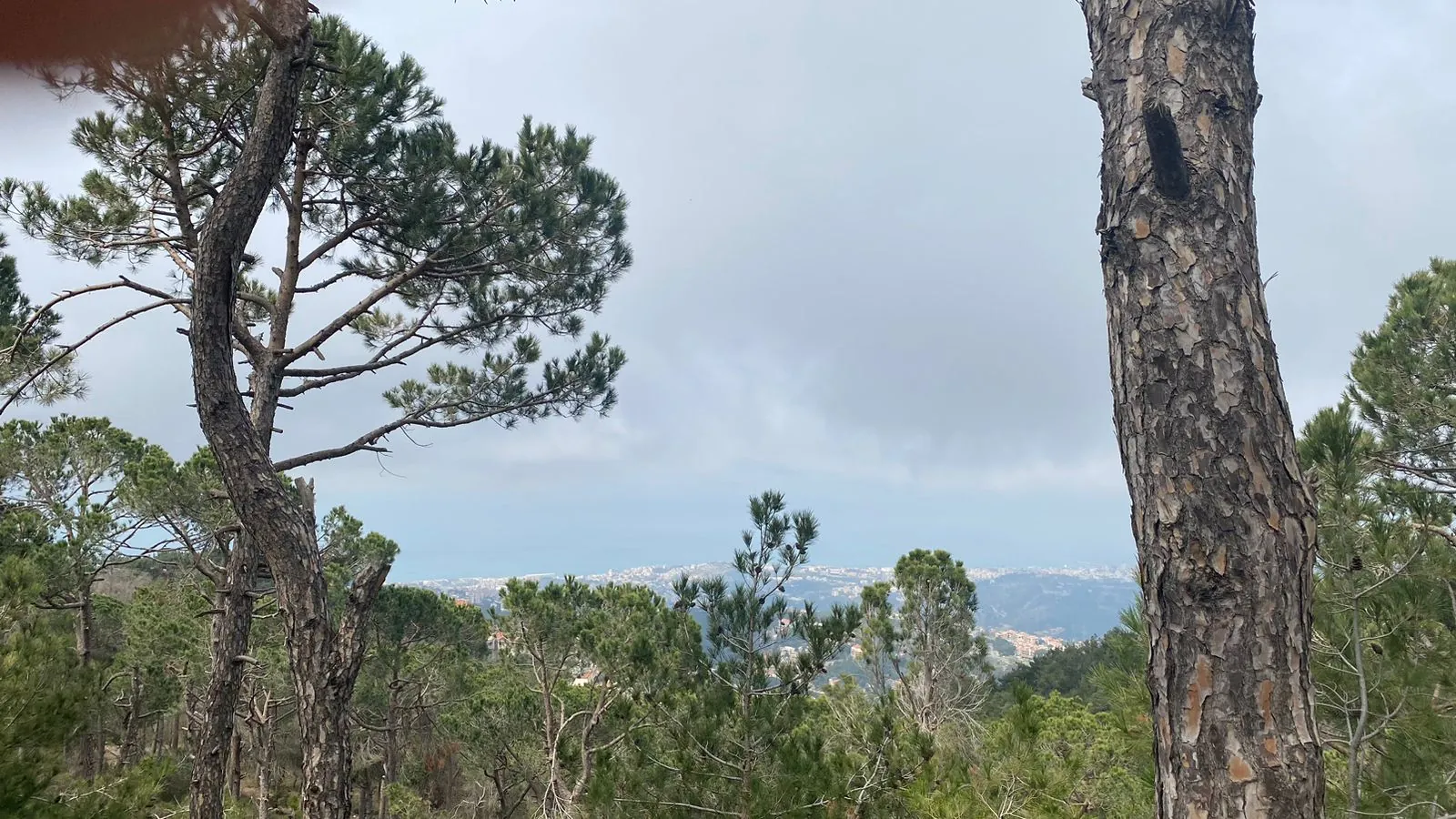2,800 SQM Land for Sale with an Exceptional View in El Naas — الصورة 3