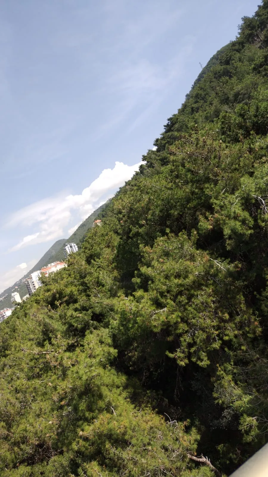 5,200 sqm Land for Sale with panoramic sea view in Sahel Alma — الصورة 2