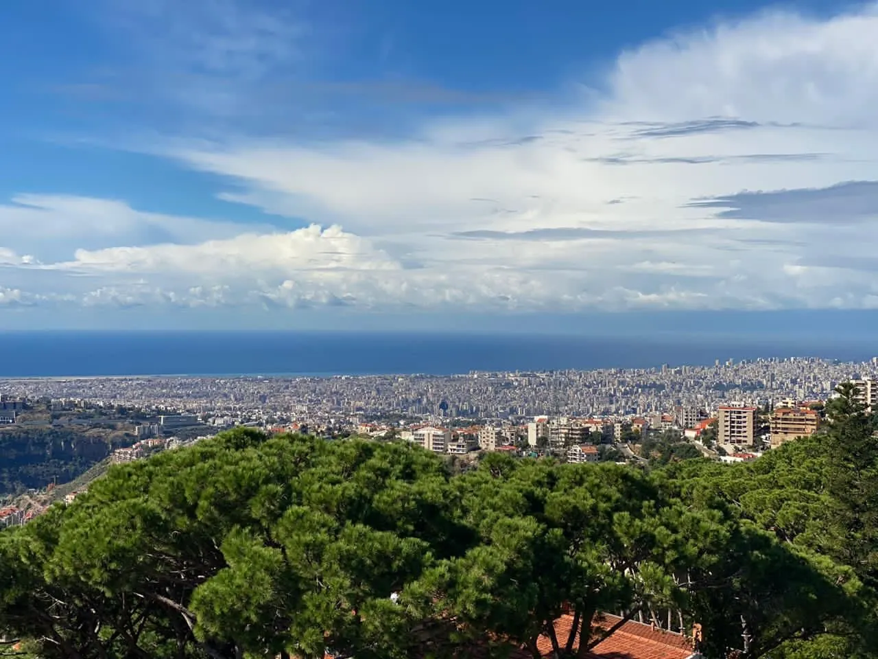 Land With A Beautiful View for Sale in Monteverde — الصورة 2