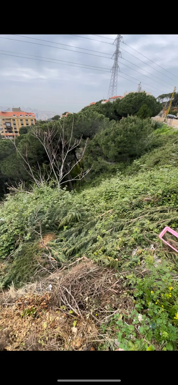 1814 SQM Land for Sale in Ain Najem