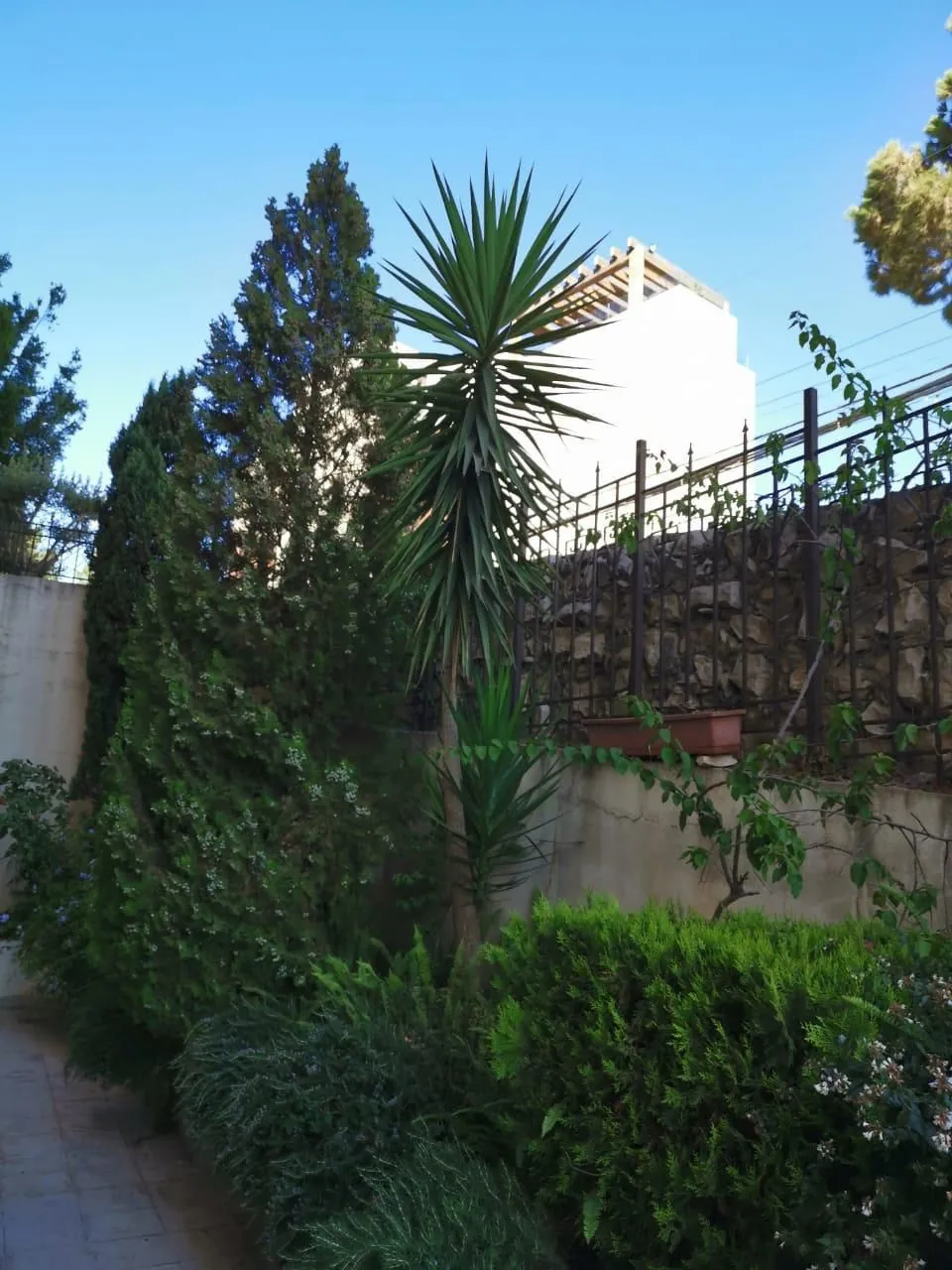 Fully Furnished Decorated Apartment With Terrace for Rent in Beit Meri — الصورة 6