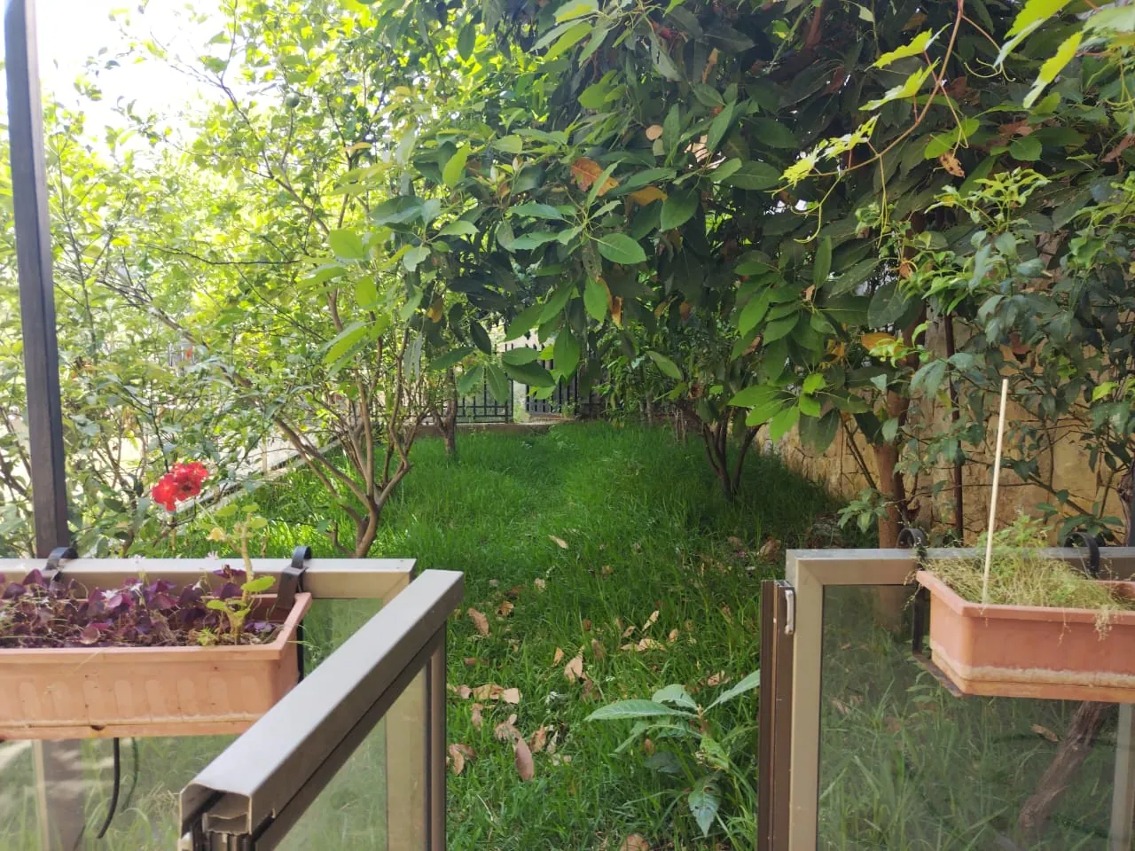 Furnished Apartment With Terrace & Garden for Rent In Kfarhbeib — الصورة 2