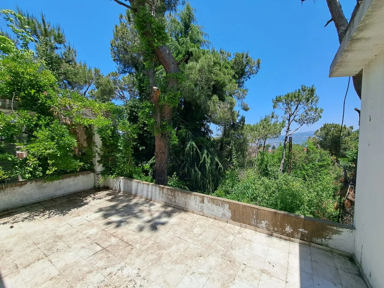 Old House With Land For Sale In Naas — photo 4