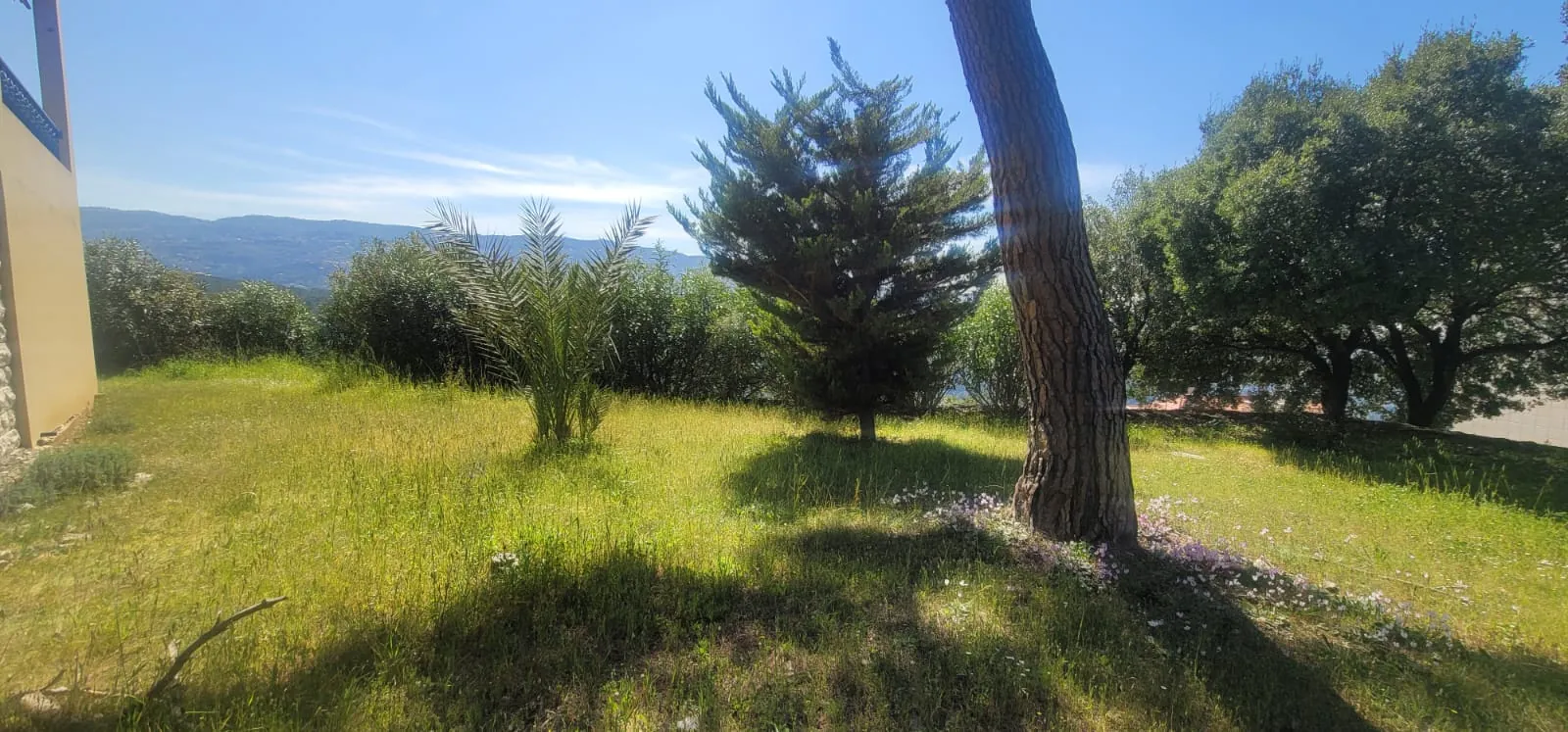 3,000 SQM Land with Traditional House For Sale in Shayle — photo 3
