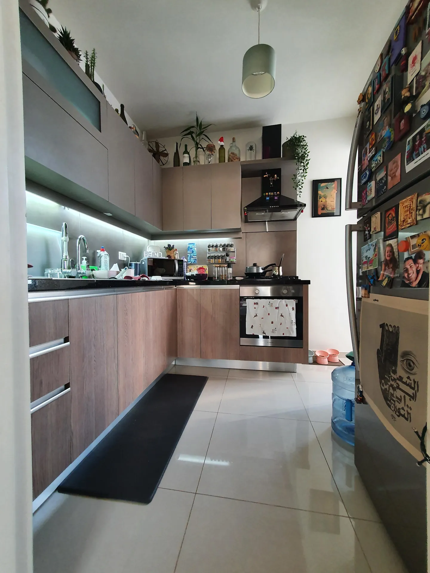 Fully Furnished Apartment For Rent in Antelias — الصورة 4