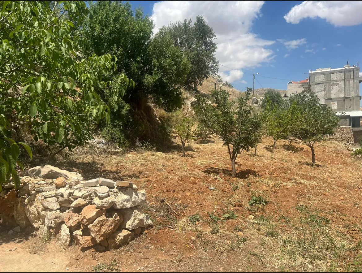 Old Lebanese-Style House With A Spacious Land For Sale in Dhour, Zahle — الصورة 8