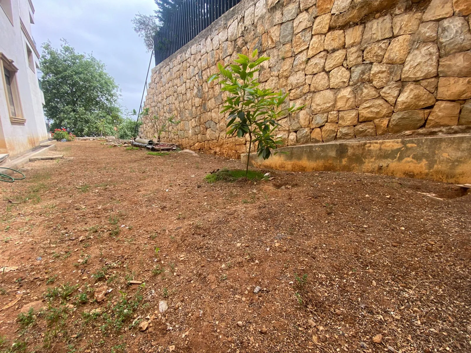 3-Bedroom Apartment With Garden For Rent in Elissar — الصورة 2