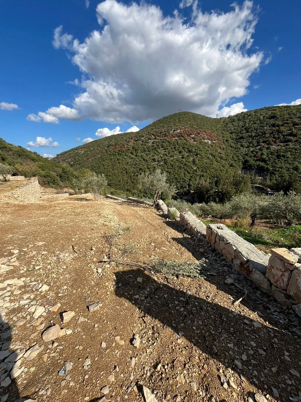 A 1,200 SQM Land For Sale in Sghar, Batroun — الصورة 5