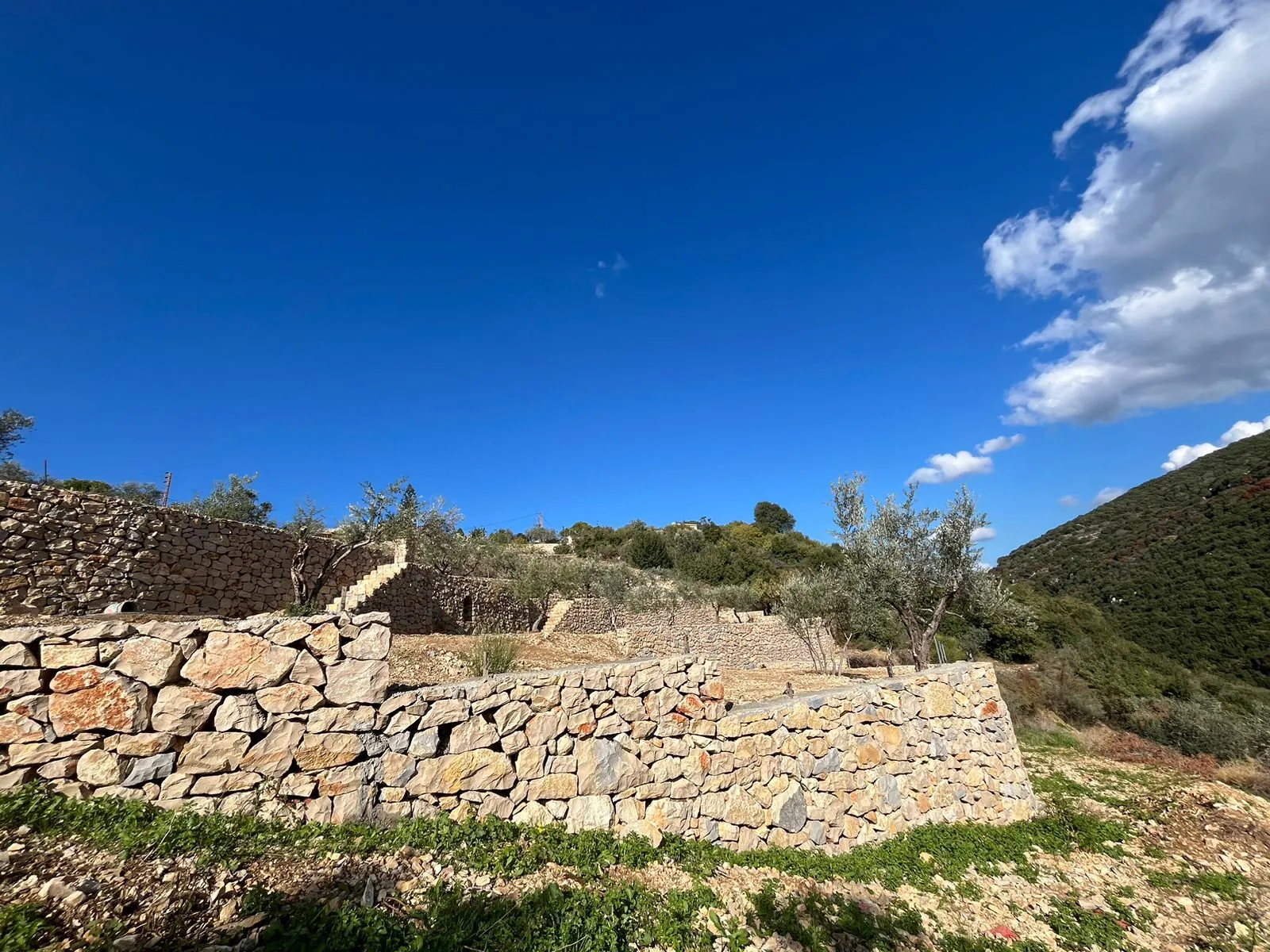 A 1,200 SQM Land For Sale in Sghar, Batroun — الصورة 6