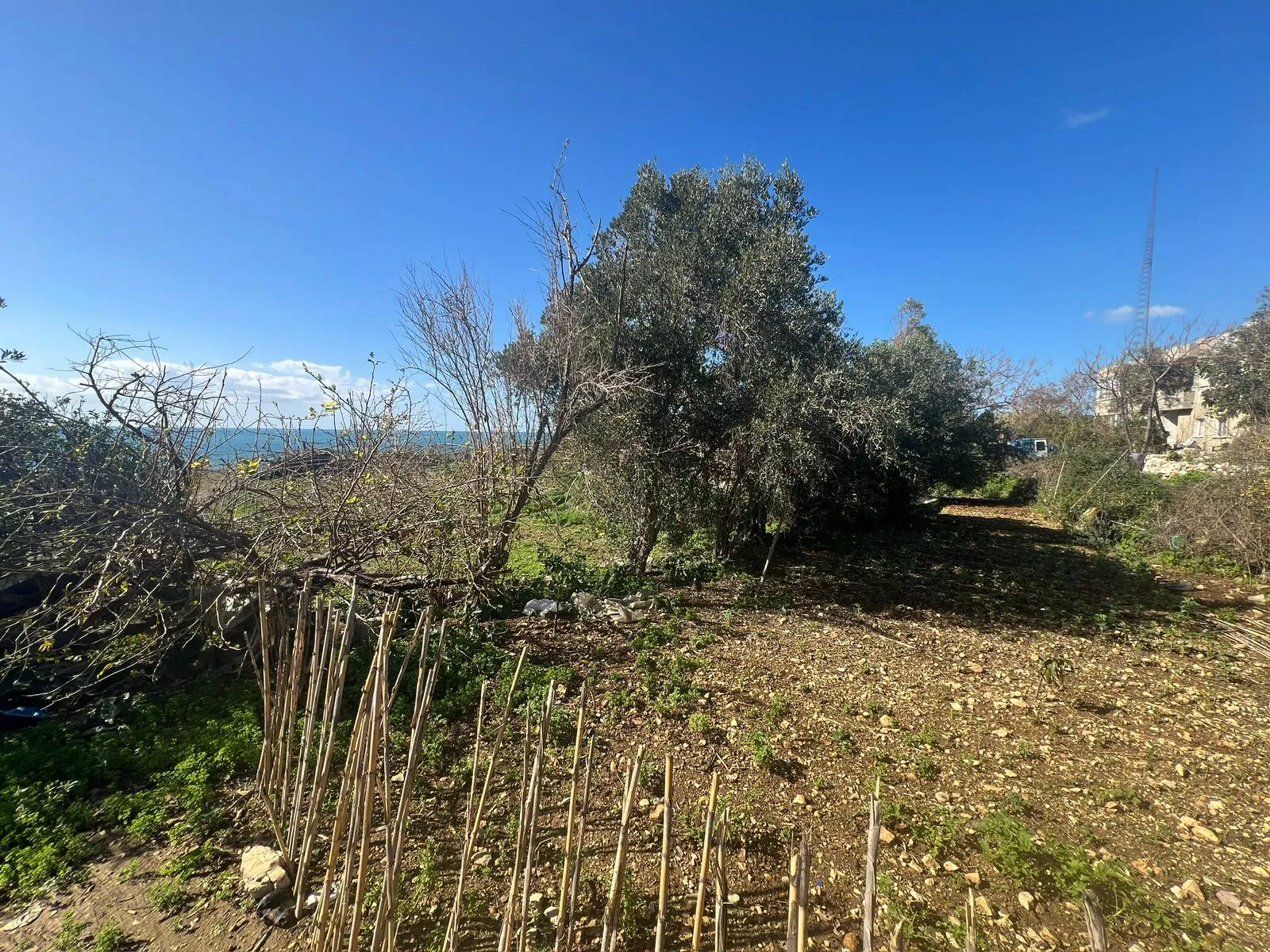 A 1,500 SQM Land For Sale in Aamchit Sea Road
