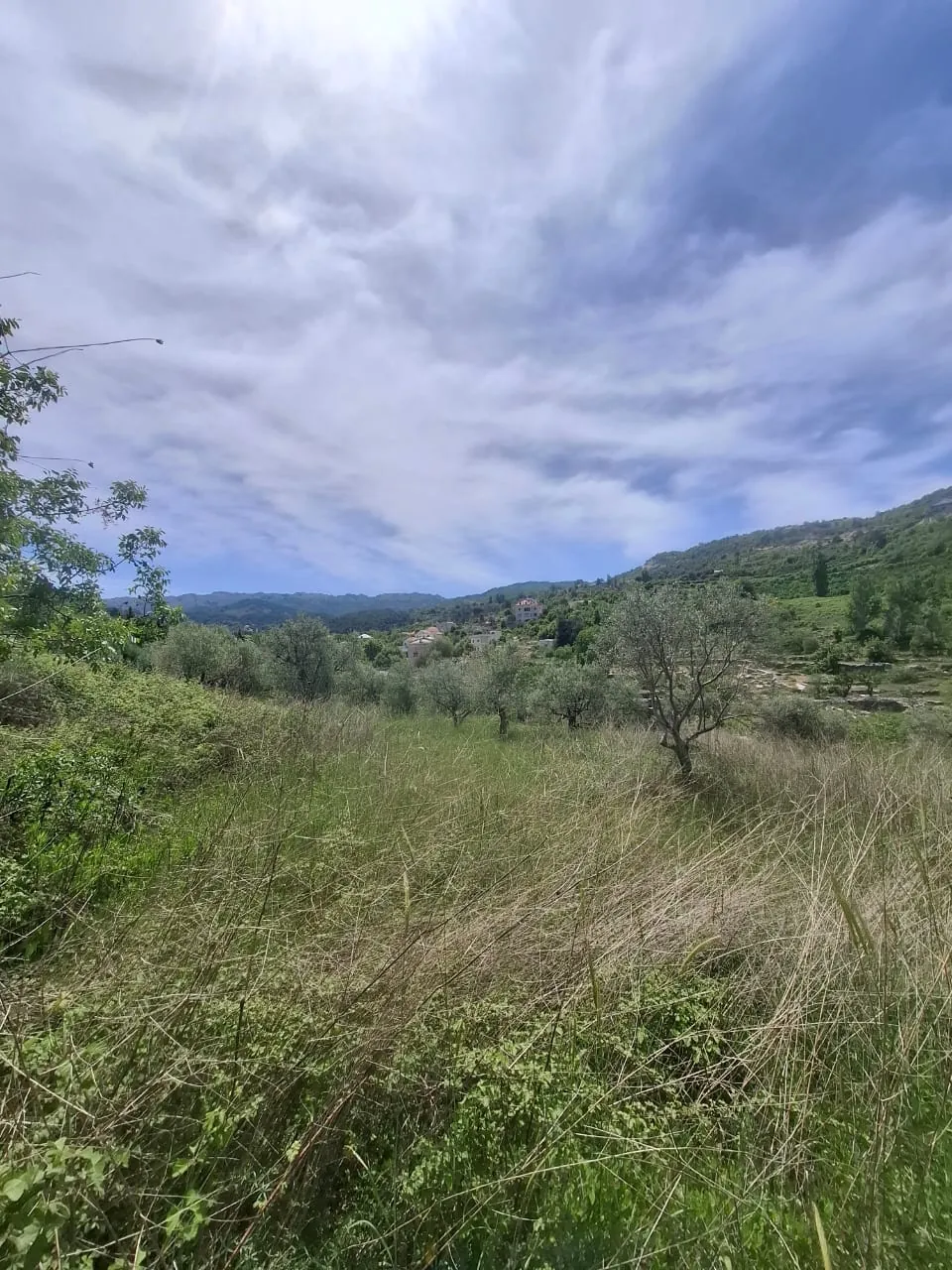 Beautiful Land For Sale in Lehfed With Road Access — الصورة 2