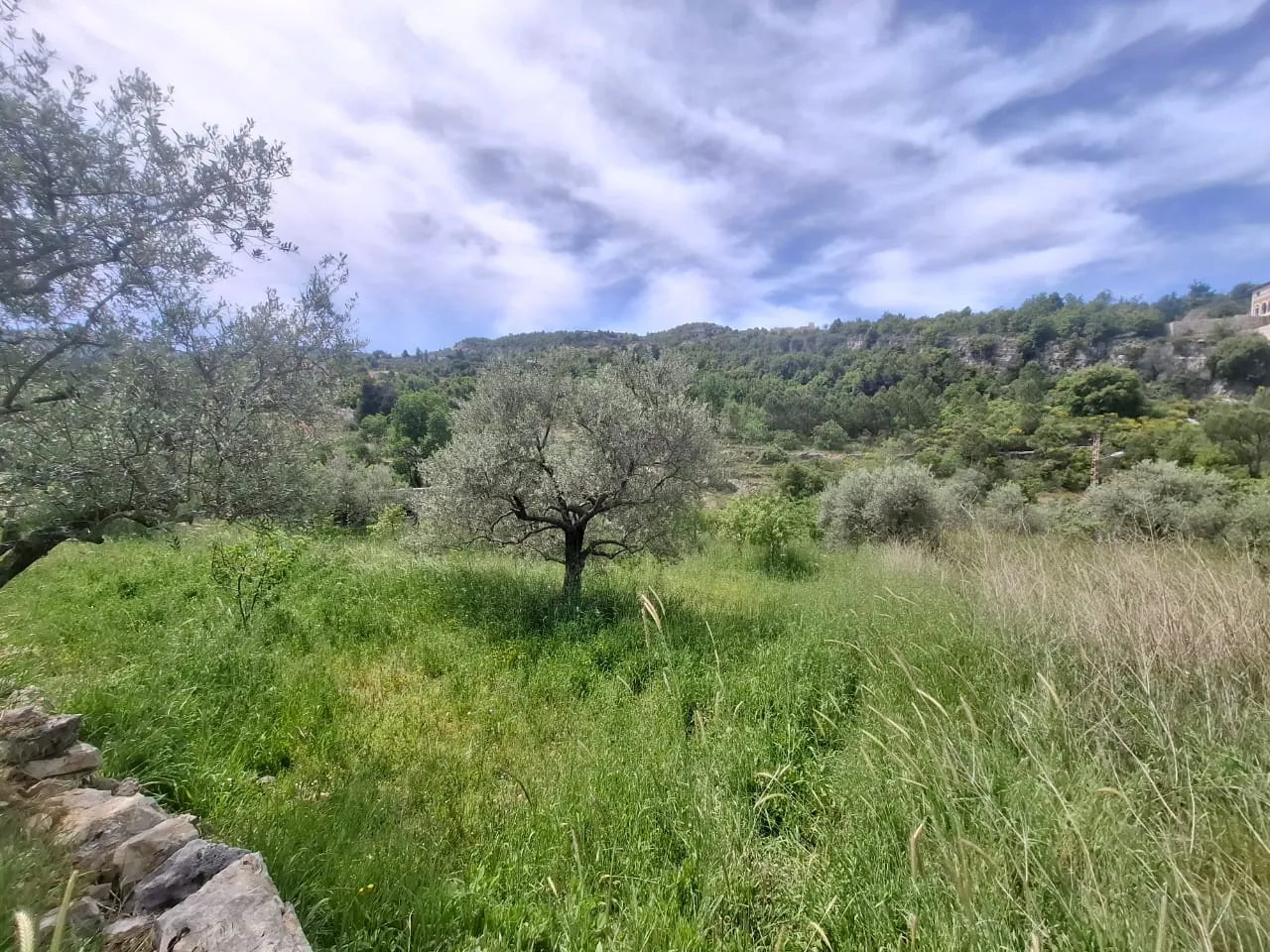 Beautiful Land For Sale in Lehfed With Road Access — الصورة 3