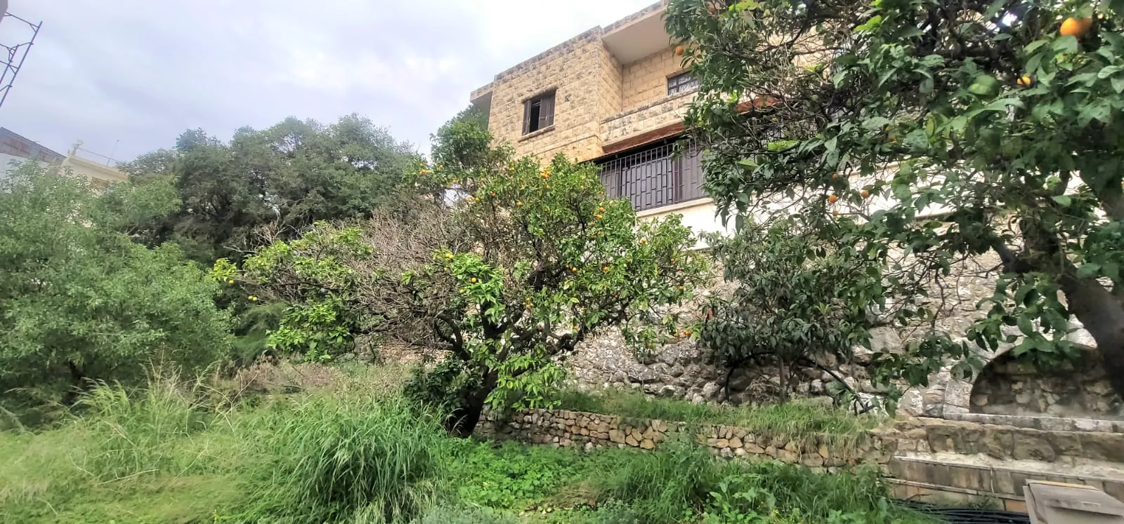 Exclusive! Land With Old House For Sale in Zouk Mosbeh — photo 4