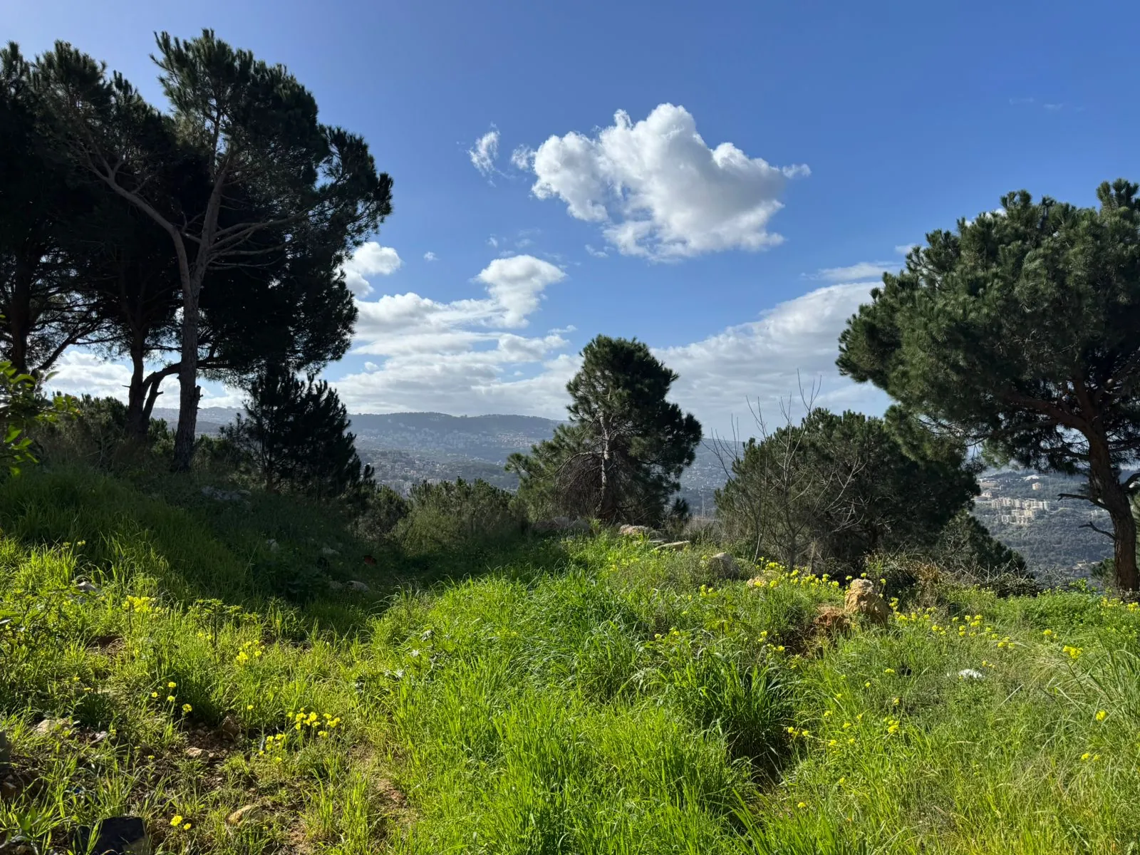 A 4000 SQM Land With Unblocakble Panoramic Sea View For Sale in Ain Saadeh