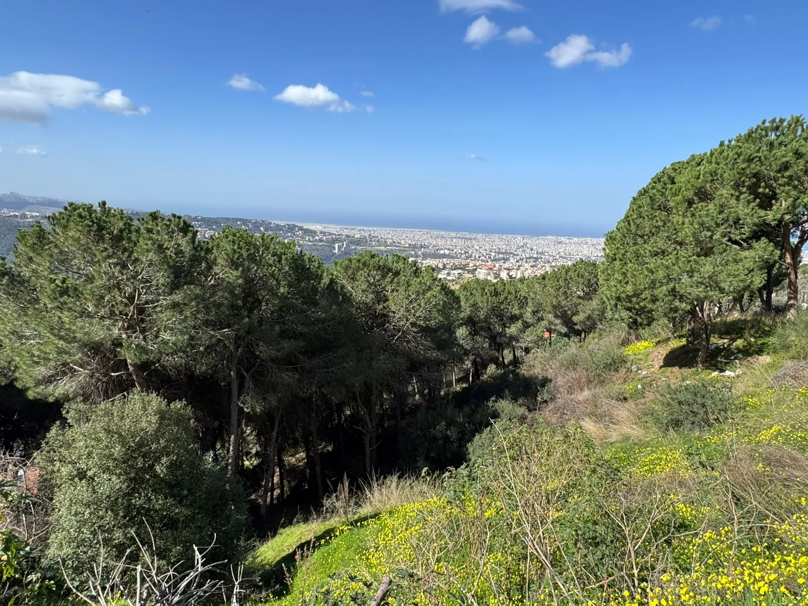 A 4000 SQM Land With Unblocakble Panoramic Sea View For Sale in Ain Saadeh — الصورة 2