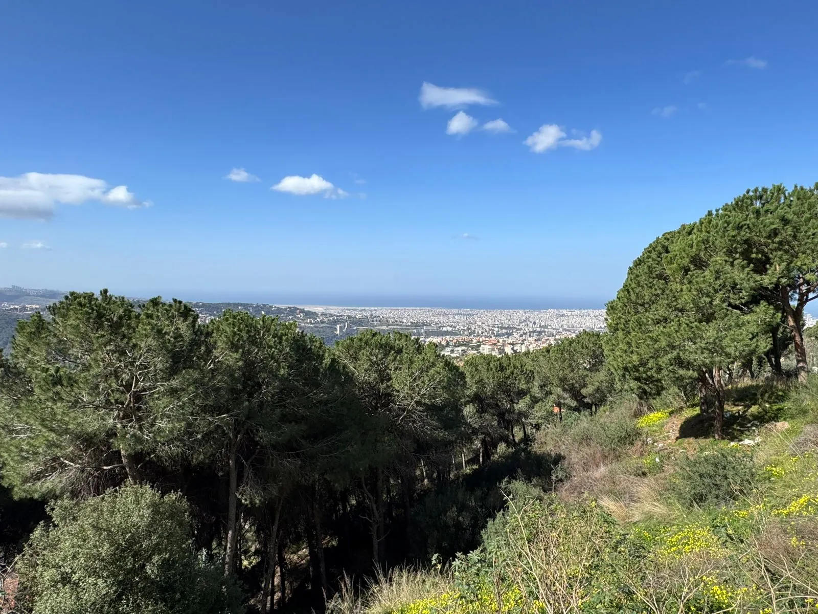 A 4000 SQM Land With Unblocakble Panoramic Sea View For Sale in Ain Saadeh — الصورة 3