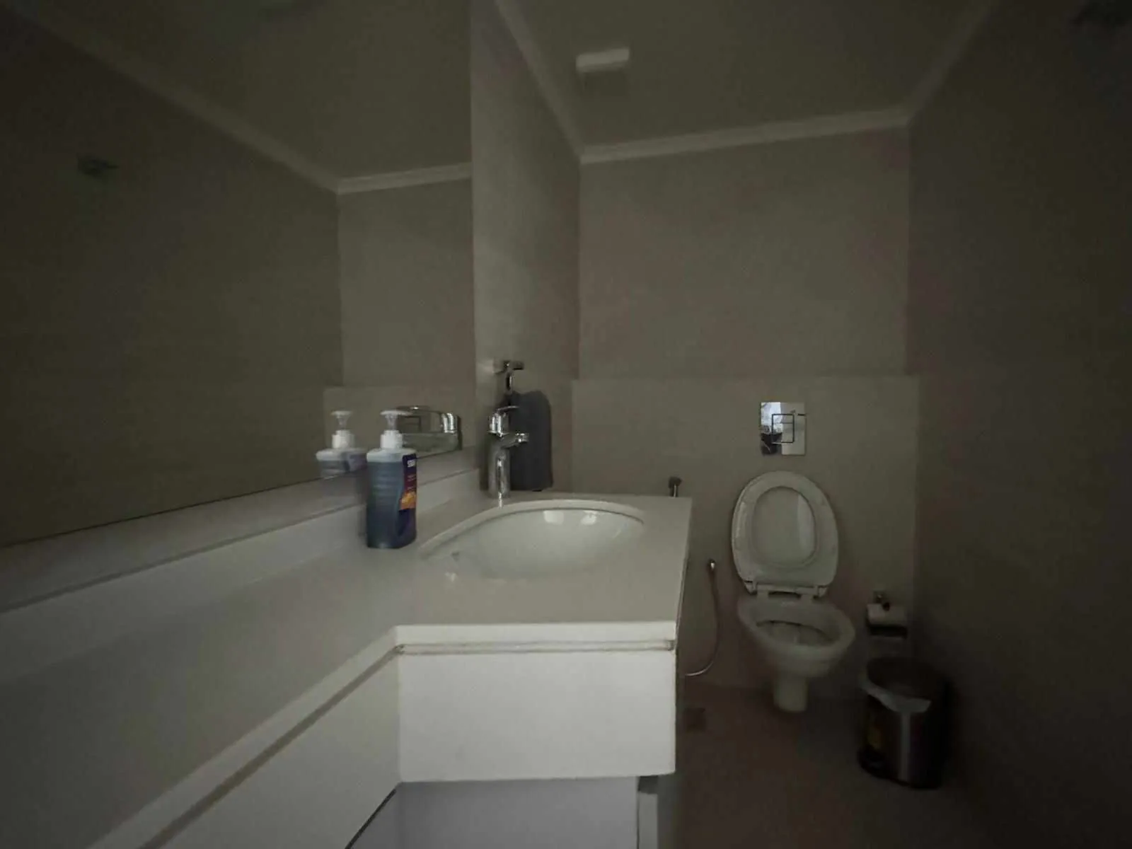 Fully Furnished And Decorated Apartment For Sale in Ain Saade — photo 8