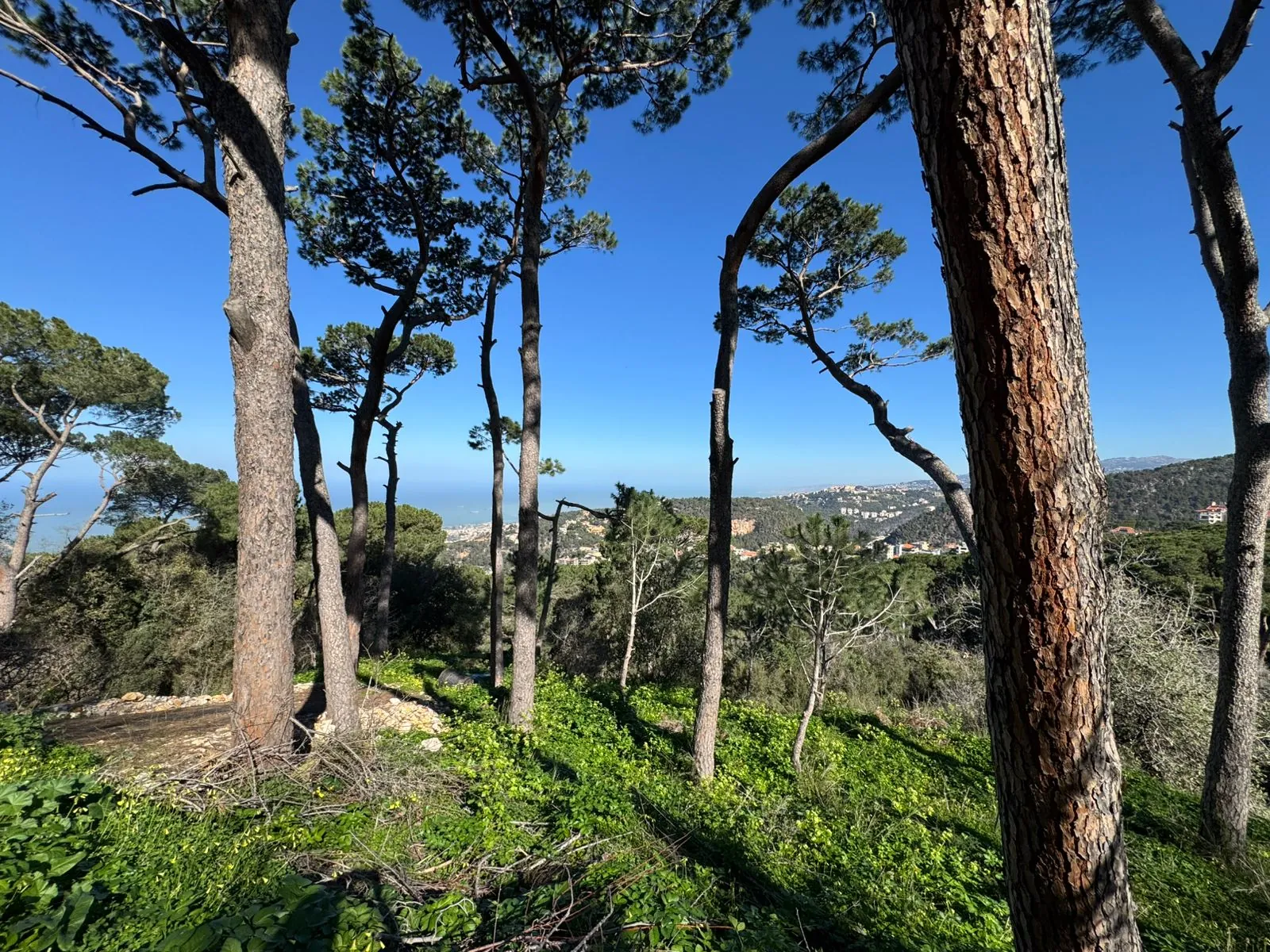 A 700 SQM Land With Sea And Mountain View For Sale in Broumana — الصورة 2