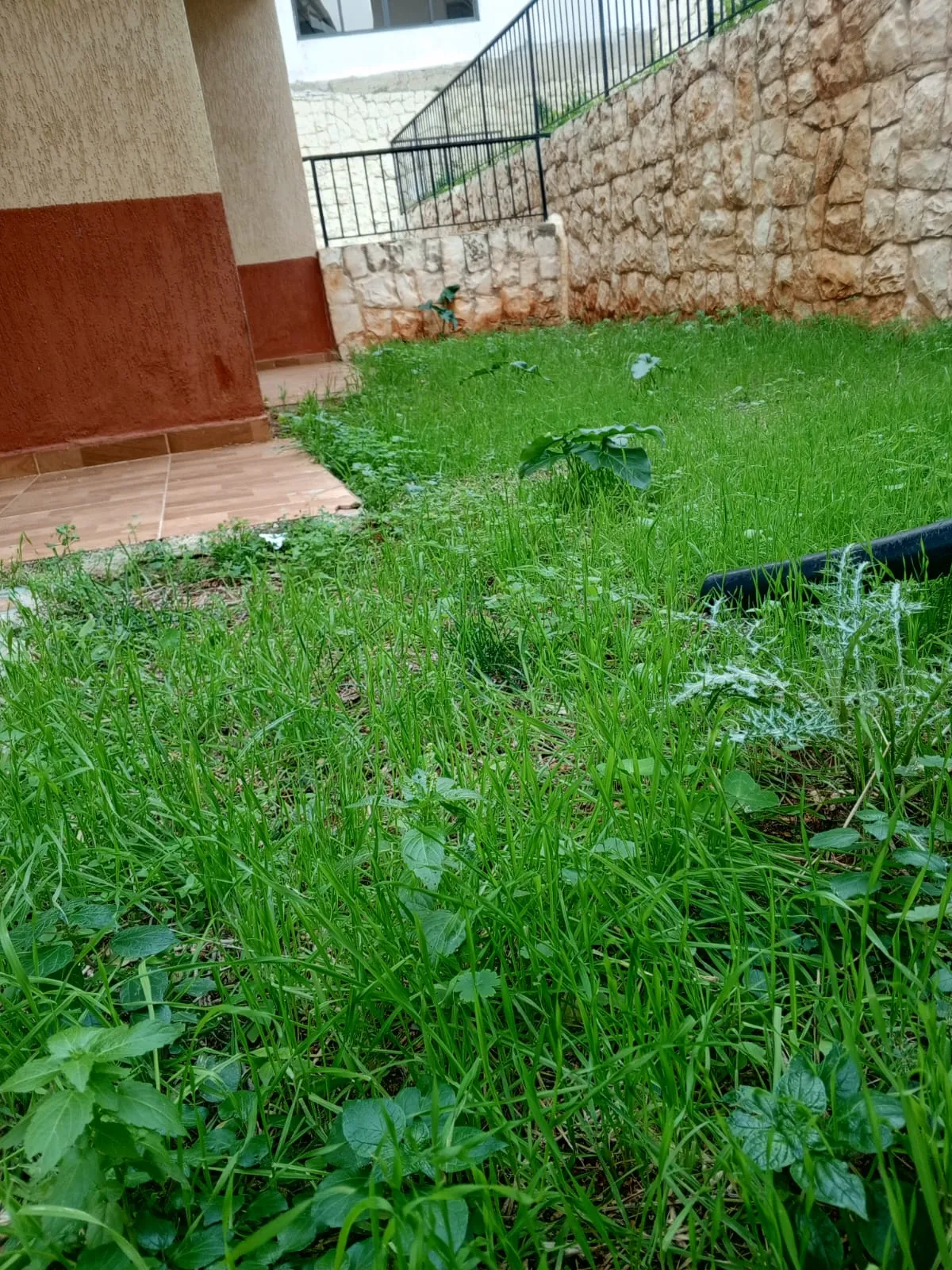 3-Bedroom Apartment With Terrace For Sale in Halat — الصورة 7