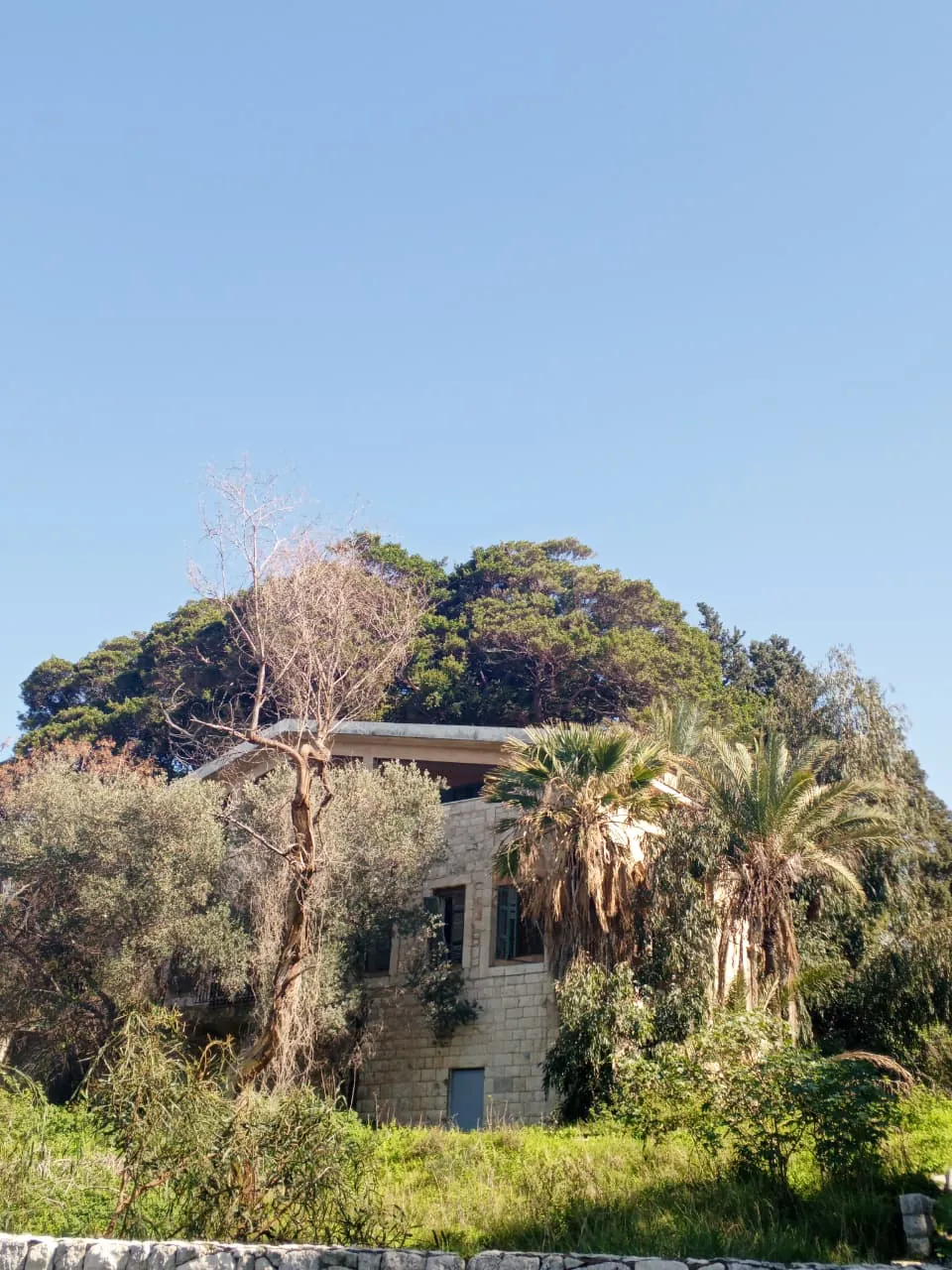 Hot Deal! Traditional Lebanese House For Sale in Ghazir — الصورة 3