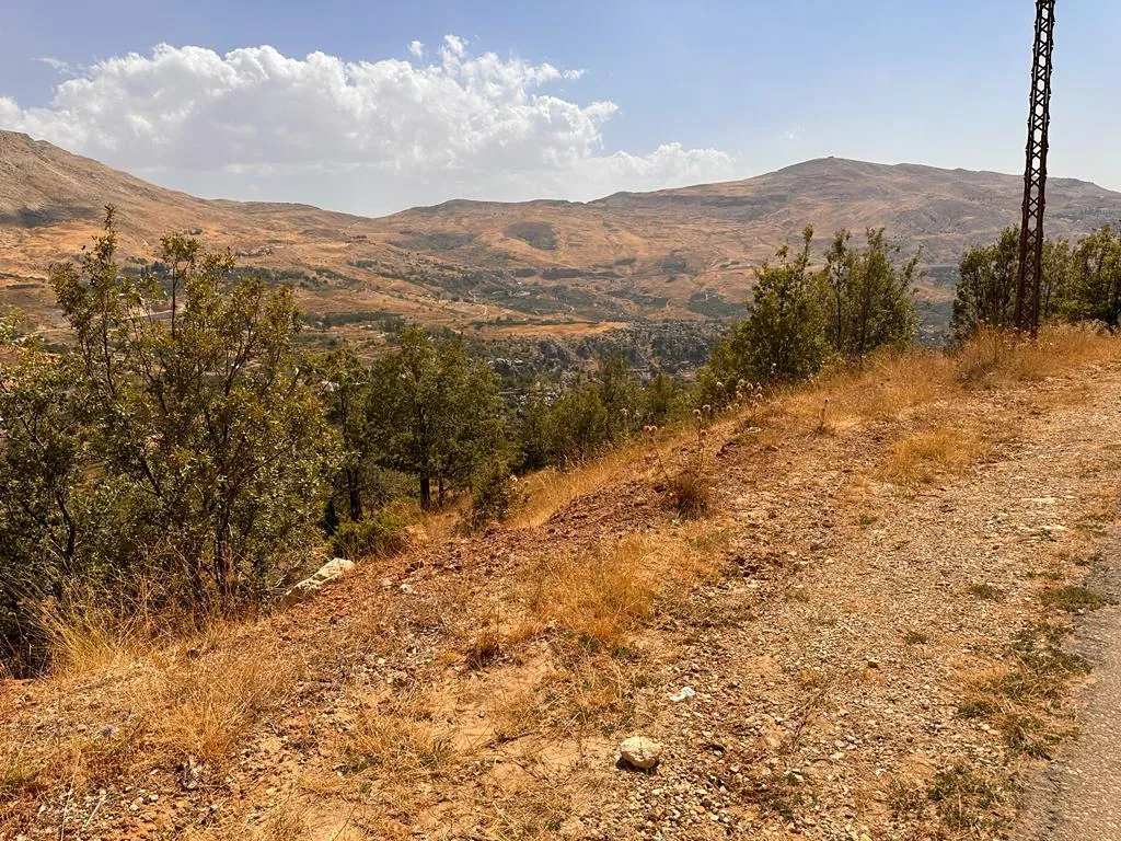14,200 SQM Land For Sale in Baskinta, Sannine