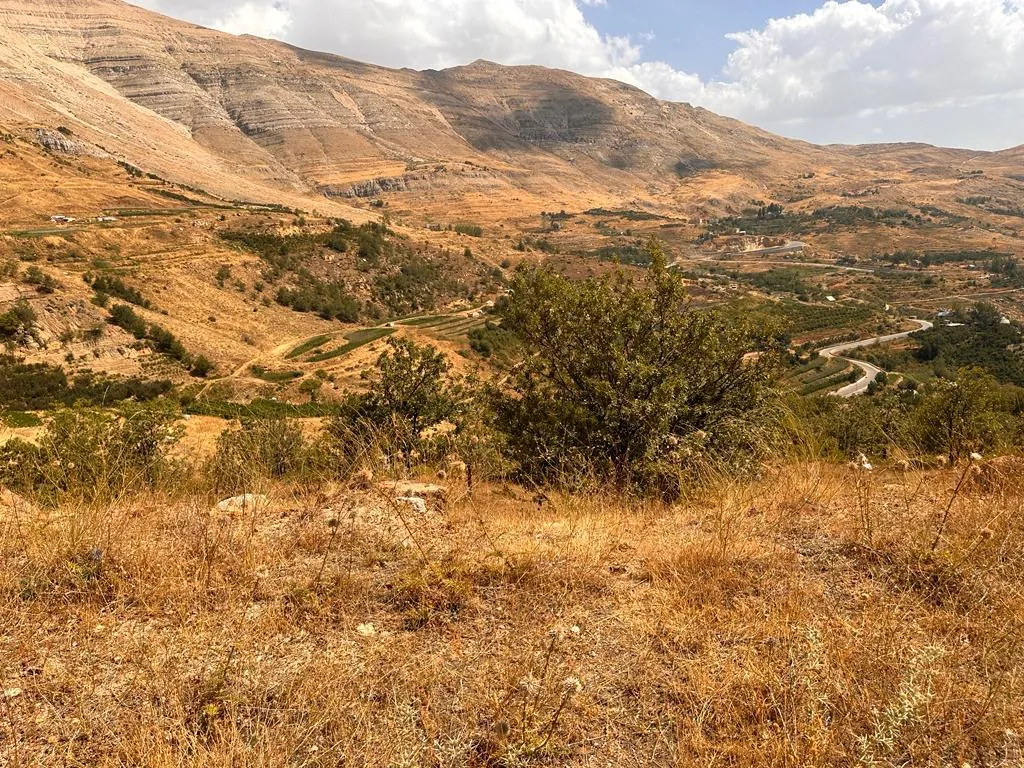 14,200 SQM Land For Sale in Baskinta, Sannine — photo 2