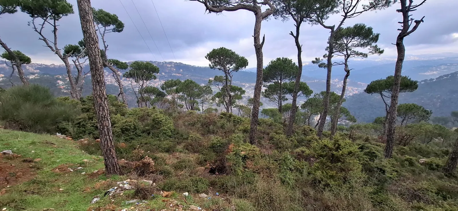A 1,110 SQM Land For Sale in Bolonia