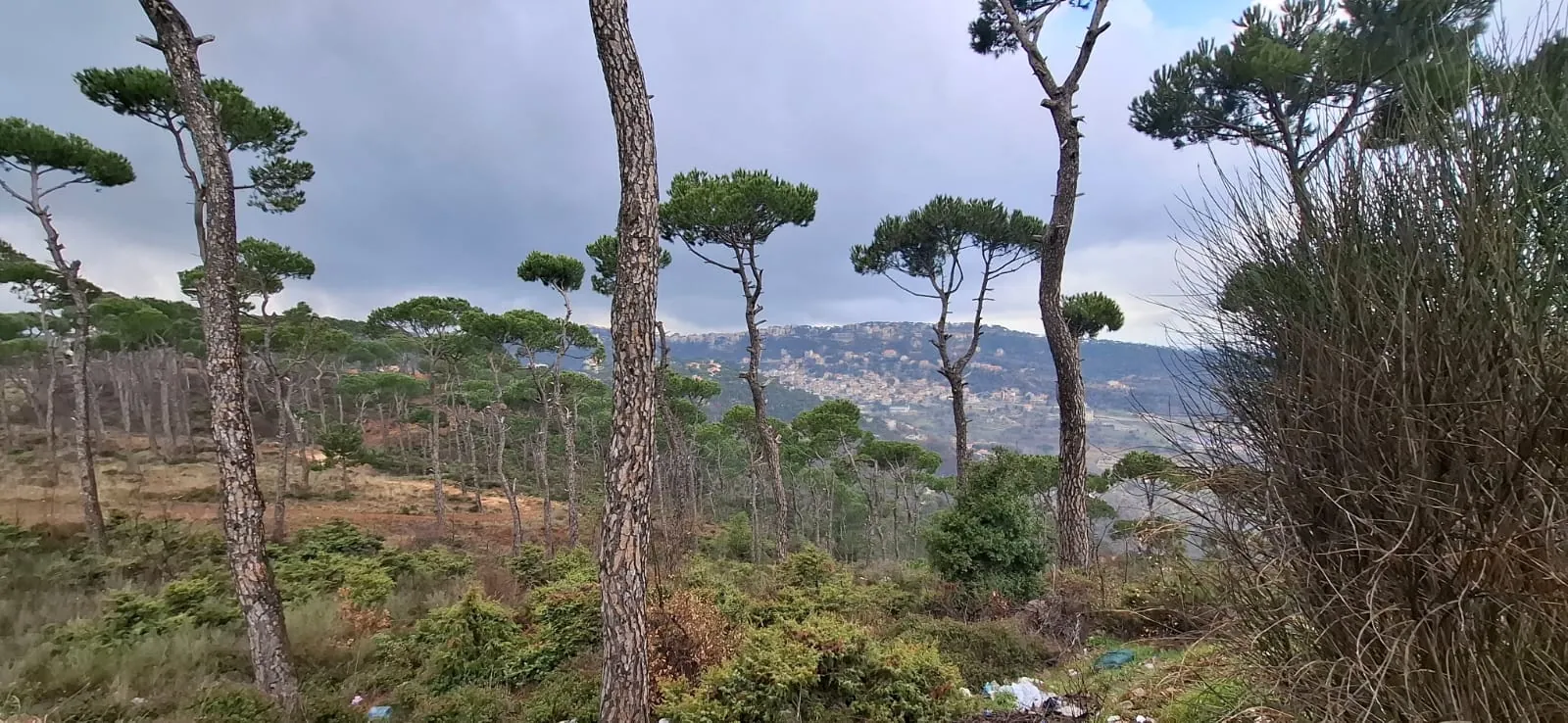 A 1,110 SQM Land For Sale in Bolonia — الصورة 2