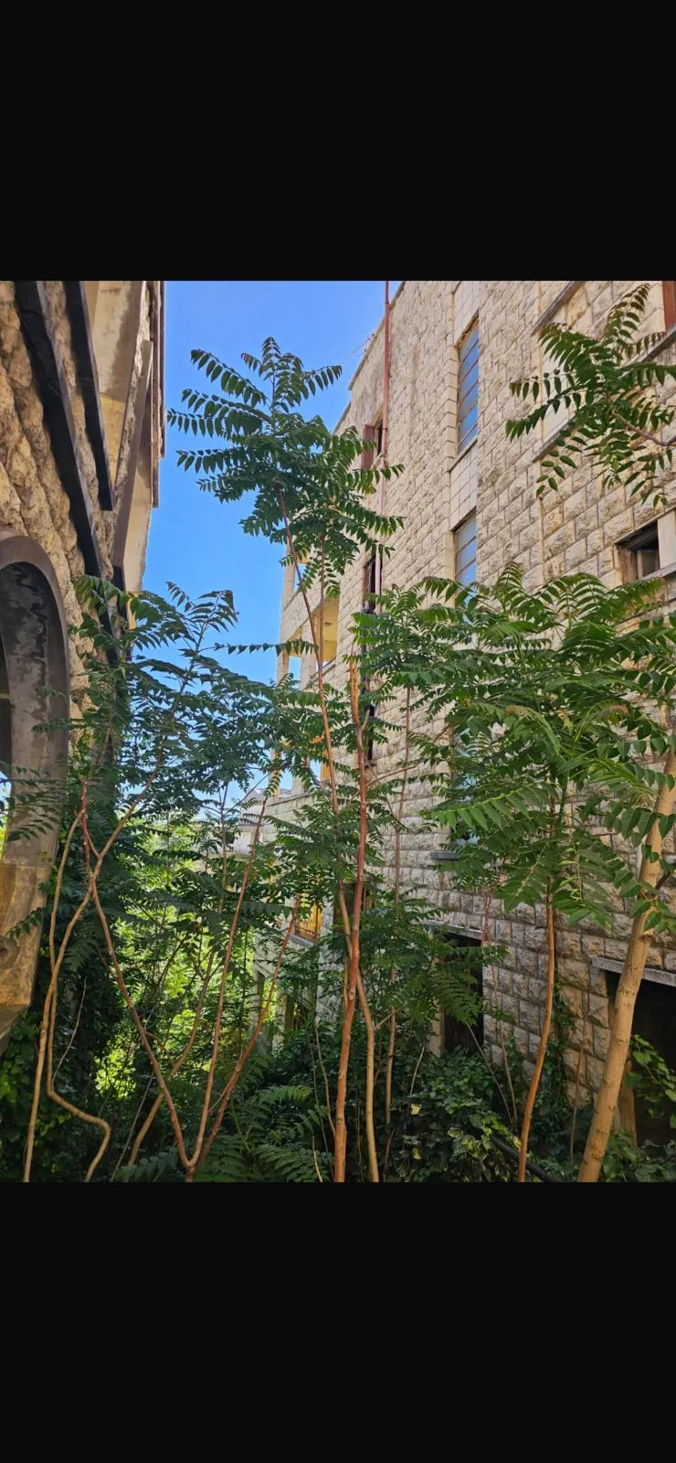 A 1,227 SQM Building For Sale in Sawfar — الصورة 2