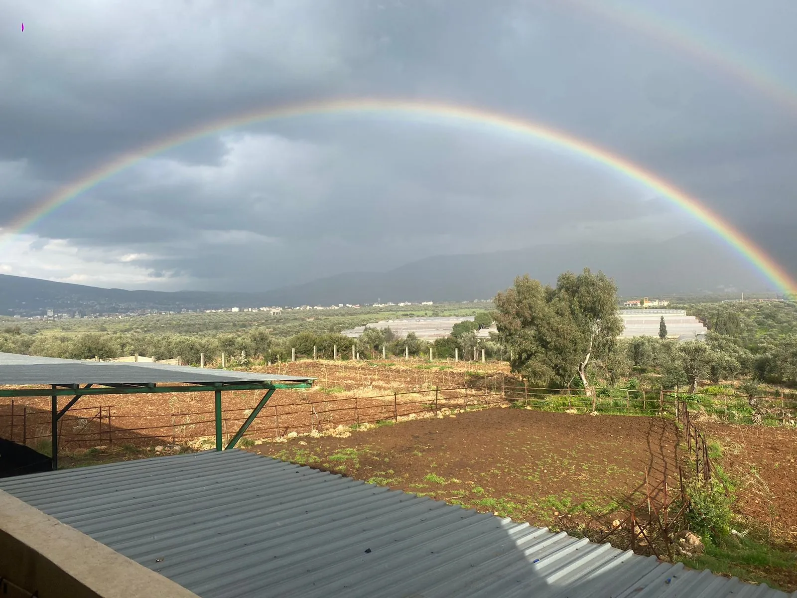 6,334 SQM Land with Farm For Sale in Zgharta