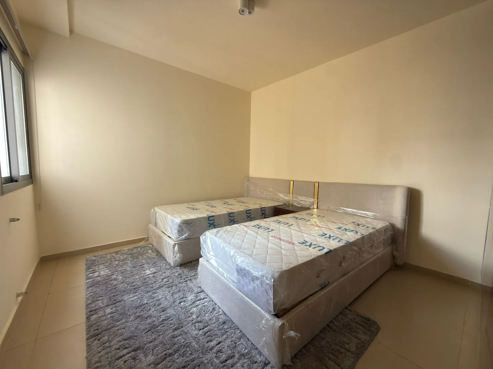 Elegant & Furnished Apartment For Rent in Achrafieh, Sassine — الصورة 10