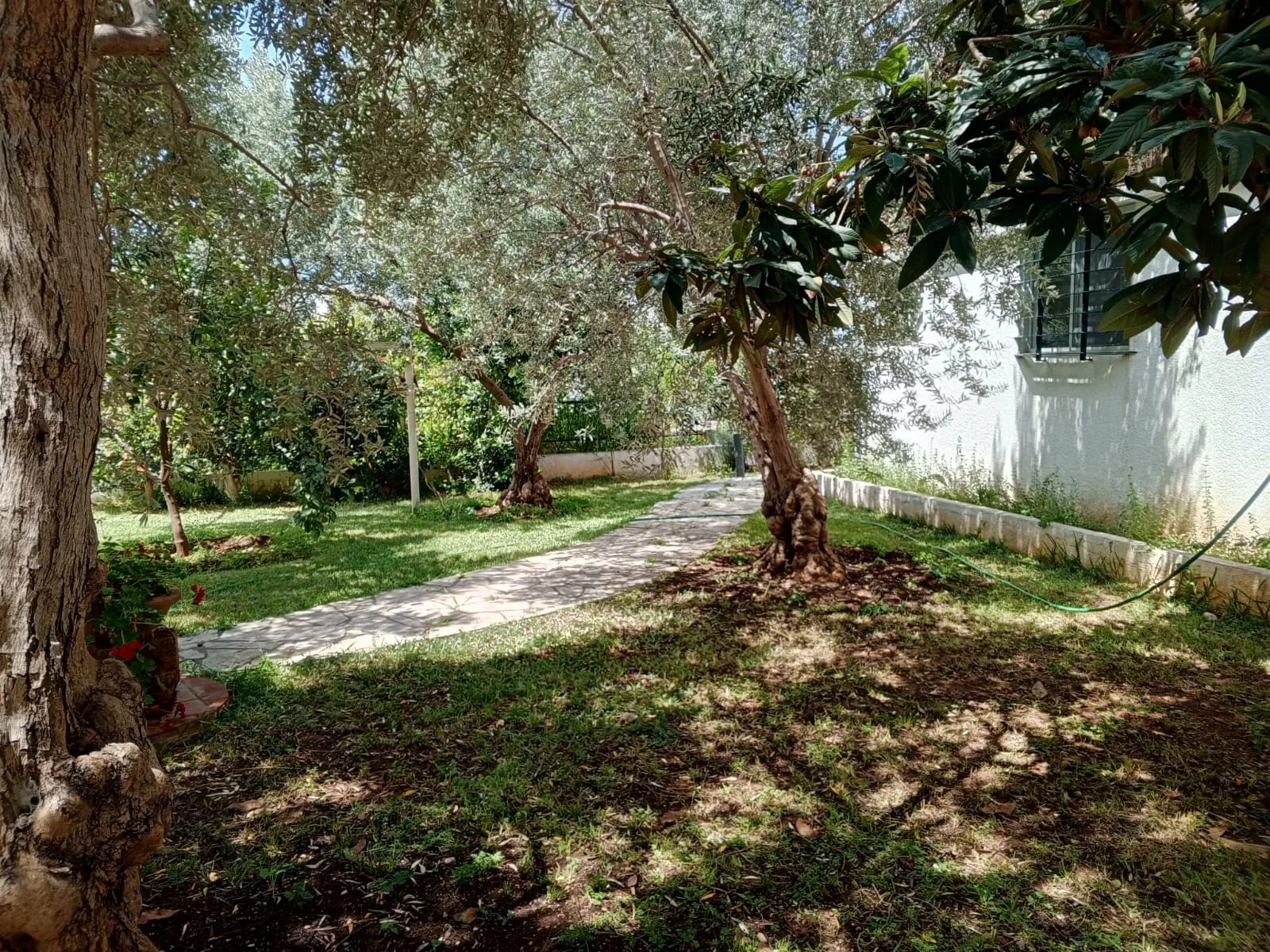Duplex Villa with Garden and Partial Sea View For Sale In Jbeil — الصورة 5