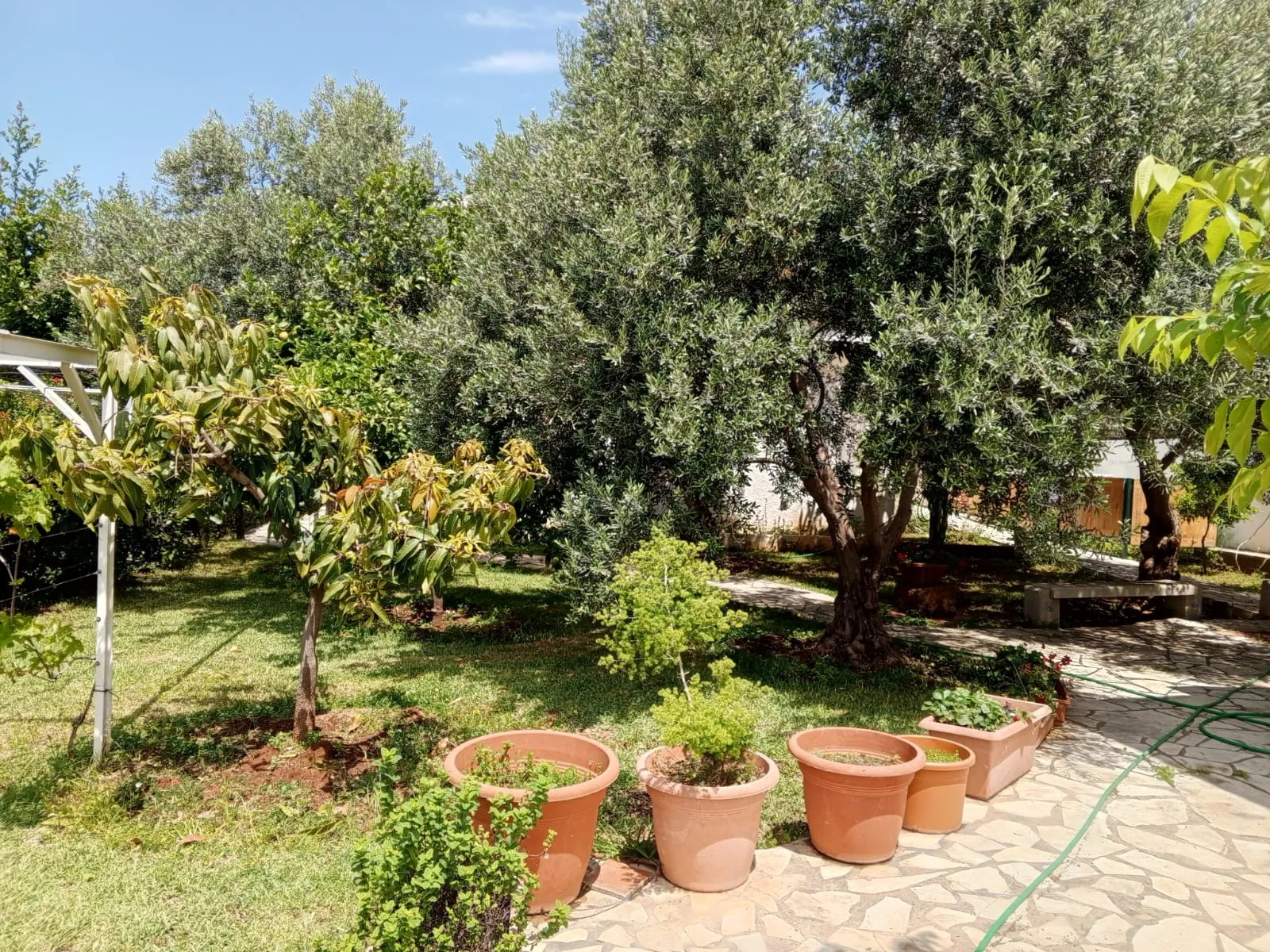 Duplex Villa with Garden and Partial Sea View For Sale In Jbeil — الصورة 8