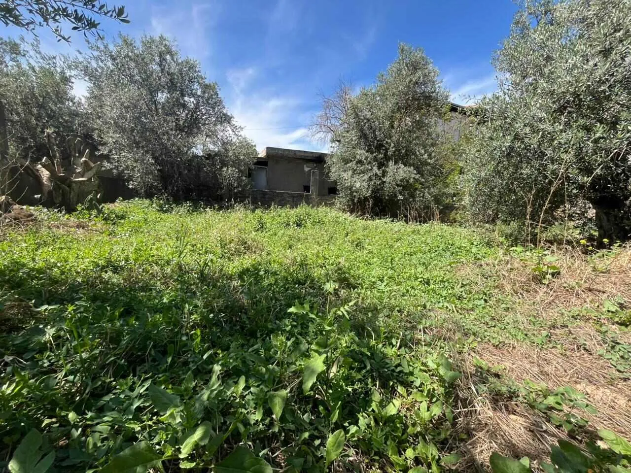 Great Potential! Core & Shell Villa With Garden For Sale in Koura — الصورة 2