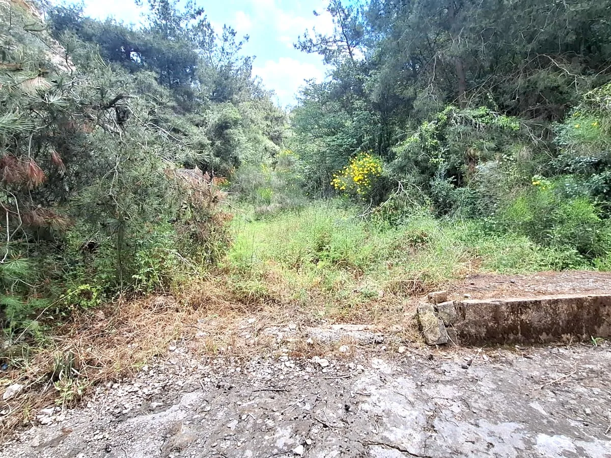 1680 SQM Land With a Nice View For Sale In Qannabet Broumana — الصورة 2