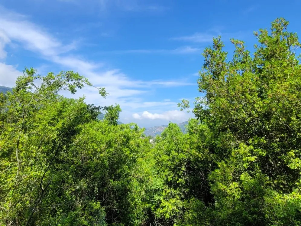 936 SQM Land For Sale In Yahchouch — الصورة 2