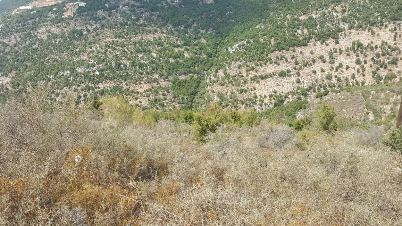 2,335 SQM Land with Mountain View For Sale in Kharbe, Jbeil District — الصورة 2